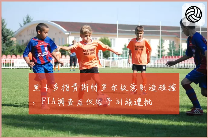 里卡多指责斯特罗尔故意制造碰撞，FIA调查后仅给予训诫遭批