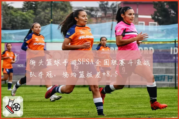 街头篮球手游SFSA全国联赛斗鱼战队夺冠，场均篮板差+8.5