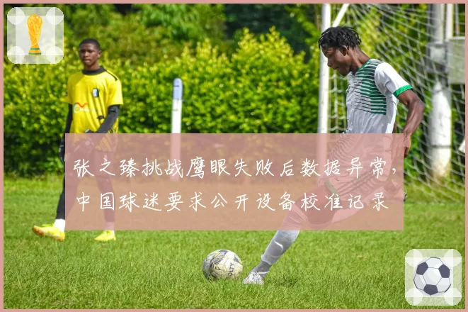 张之臻挑战鹰眼失败后数据异常，中国球迷要求公开设备校准记录